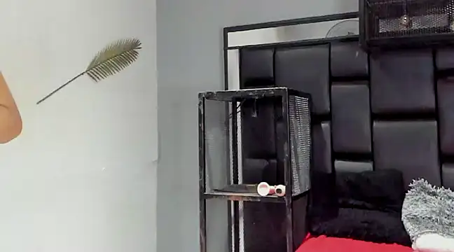 Snapshot of NovaMicheel chatting on 4, 12, 2024 NovaMicheel online show from 4, 12, 2024