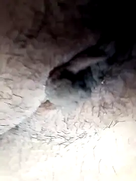 lemon69Reo online show from 26, 2, 2025