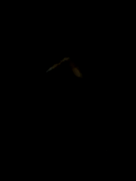 Snapshot of DaWoD030 chatting on 19, 1, 2025 DaWoD030 online show from 19, 1, 2025