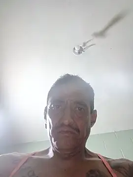 Innsaciable online show from 17, 5, 2026