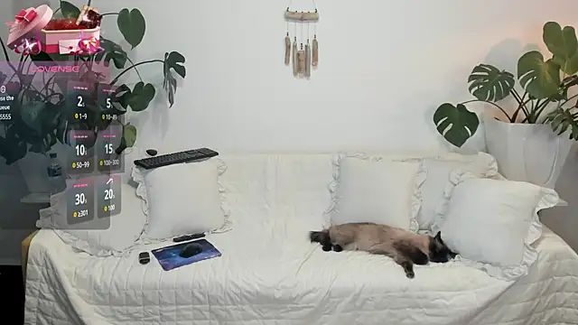 Amie Hill online show from 16, 2, 2026