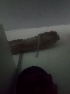 Darly Gomez online show from 9, 2, 2025