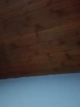 Darly Gomez online show from 19, 2, 2025