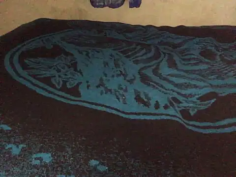 manuamador online show from 20, 3, 2025