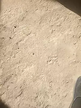 dick-boy-arabic1 online show from 19, 12, 2024