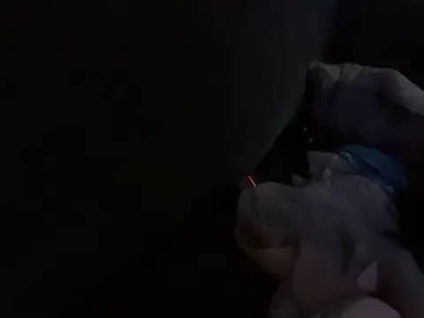 Snapshot of houy111111 chatting on 18, 10, 2025 houy111111 online show from 18, 10, 2025