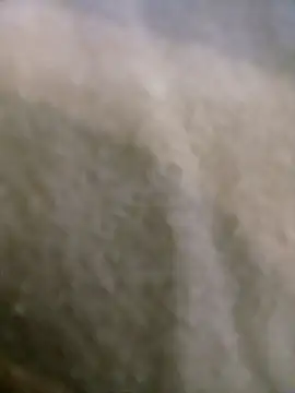 Snapshot of houy111111 chatting on 9, 1, 2026 houy111111 online show from 9, 1, 2026