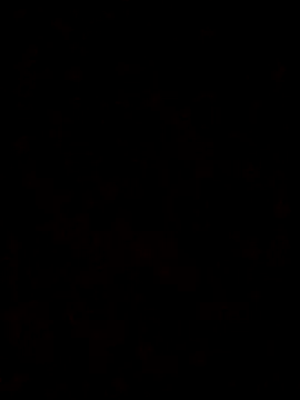 Snapshot of Feli230990 chatting on 8, 10, 2025 Feli230990 online show from 8, 10, 2025