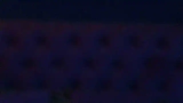 Nicole Diva online show from 18, 3, 2025