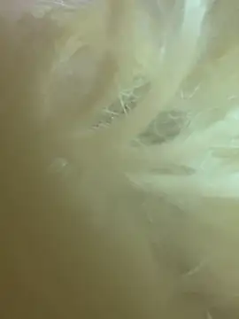 CherryEmmy online show from 27, 10, 2025