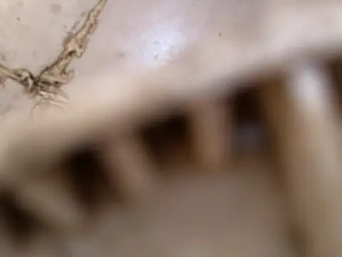 small131 online show from 17, 3, 2025