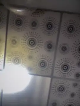 adam-rivera online show from 1, 10, 2025