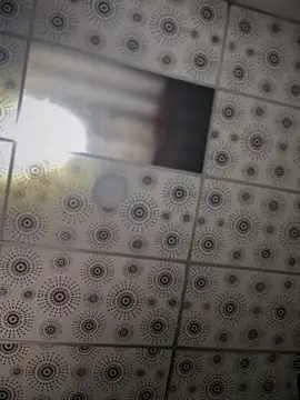 adam-rivera online show from 20, 10, 2025