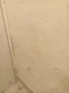 FlacoRiaton online show from 10, 2, 2026