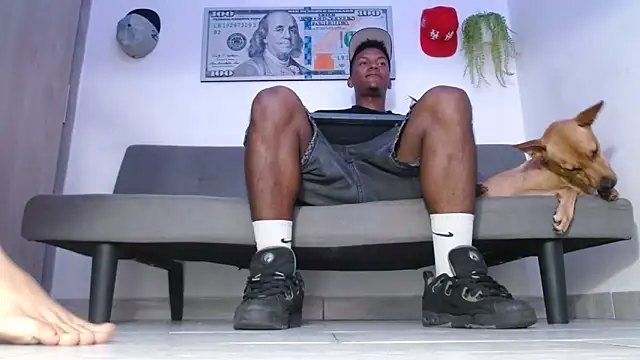 boss of cash online show from 12, 5, 2026