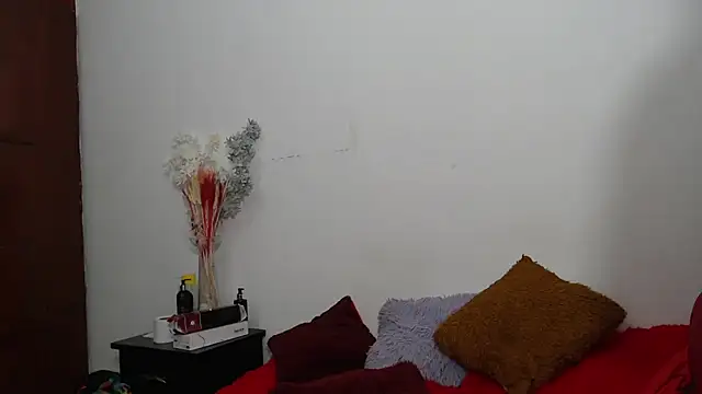 Snapshot of hannaashyel_12 chatting on 19, 12, 2024 hannaashyel 12 online show from 19, 12, 2024