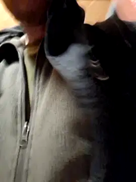 Romakappa1812 online show from 1, 4, 2026