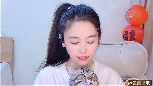 CN-Babycat online show from 27, 2, 2026