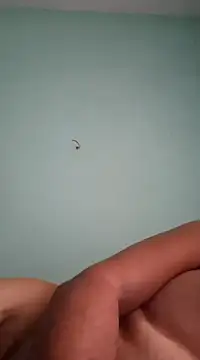 Snapshot of alexjs84 chatting on 16, 12, 2024 alexjs84 online show from 16, 12, 2024