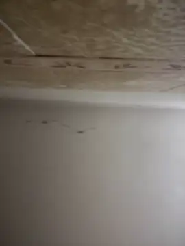 SecretlyDD online show from 30, 1, 2025