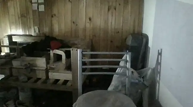 Snapshot of italianbighorse22 chatting on 18, 1, 2025 italianbighorse22 online show from 18, 1, 2025