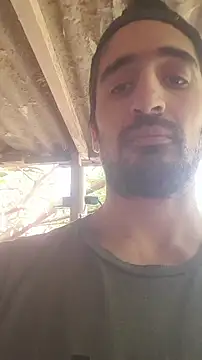 italianbighorse22 online show from 5, 11, 2025