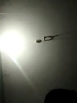 jaydev madhuri online show from 19, 3, 2026