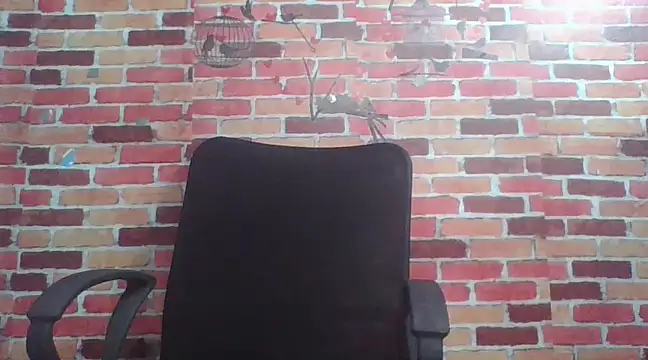 Snapshot of telugu_indhu_0001 chatting on 24, 12, 2024 telugu indhu 0001 online show from 24, 12, 2024