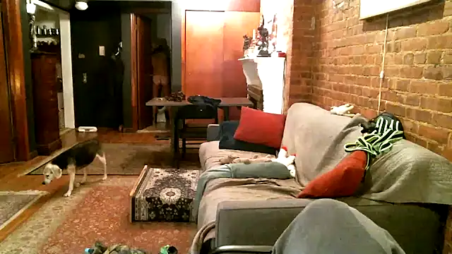 Johnny Bottoms online show from 21, 12, 2024