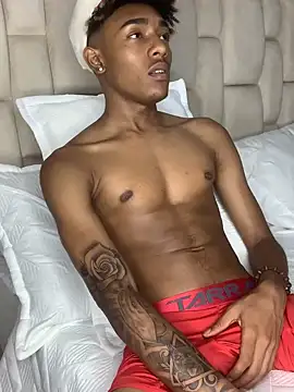 Snapshot of Boy_cock18 chatting on 26, 1, 2025 Boy cock18 online show from 26, 1, 2025