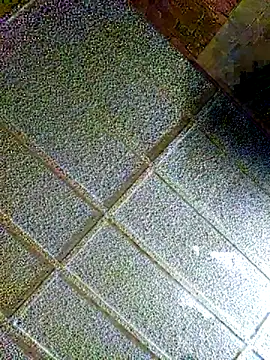 zaneporter46 online show from 4, 2, 2025