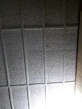 zaneporter46 online show from 1, 3, 2025