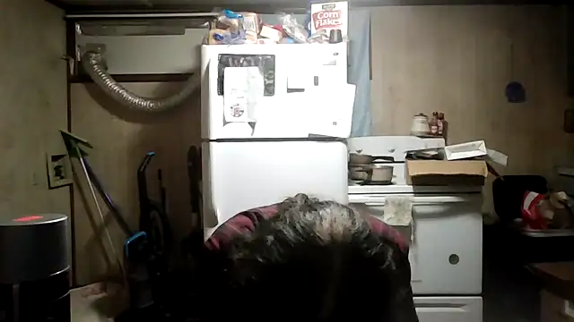 zaneporter46 online show from 7, 1, 2026