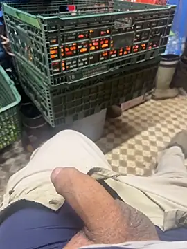 069kinchan online show from 3, 12, 2025