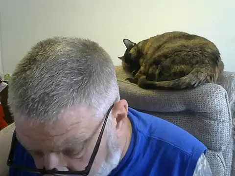 viejo oso online show from 5, 10, 2025