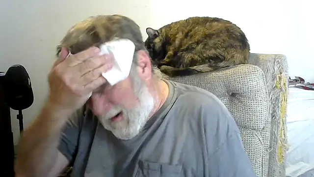 viejo oso online show from 31, 1, 2026