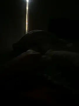 scottttyysc online show from 13, 1, 2025