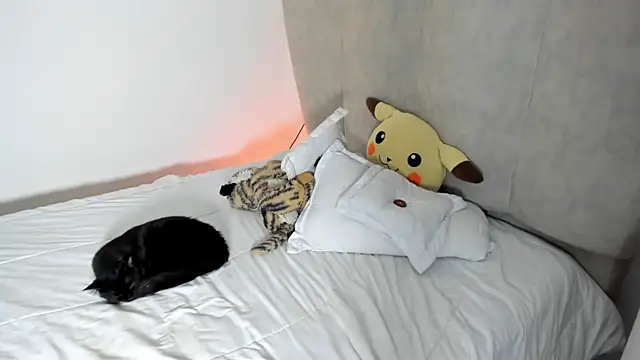 rachaeldeckard   online show from 25, 1, 2025