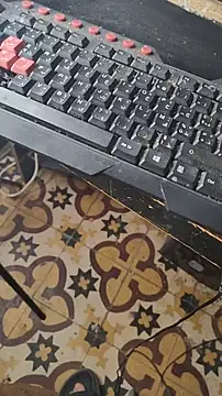 niyack69 online show from 20, 5, 2026