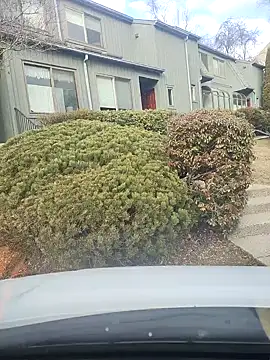 imanatural69 online show from 3, 1, 2025