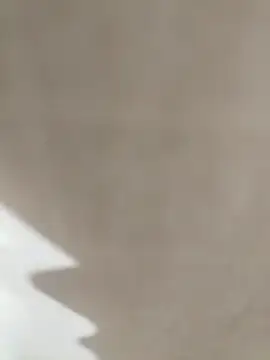 prnv00007 online show from 1, 1, 2025