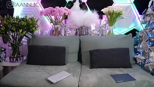 taanni bc online show from 31, 1, 2025