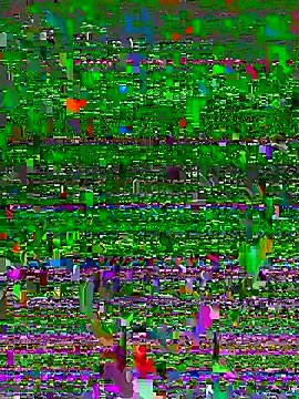 Prolisok473 online show from 22, 1, 2025
