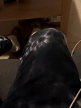 josueswvillaA1 online show from 12, 1, 2026