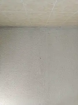 boobsTaylor online show from 21, 9, 2025