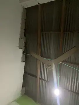 elflalope online show from 15, 3, 2025