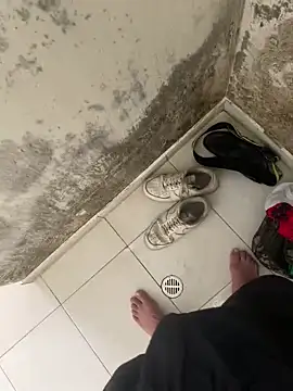 elflalope online show from 4, 11, 2025