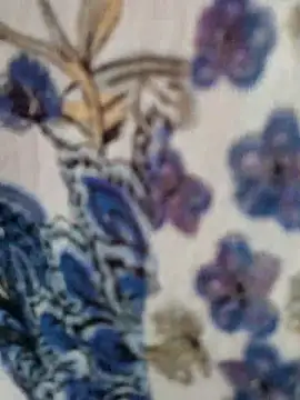 BigAssSarah online show from 8, 2, 2026