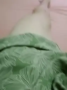 Snapshot of curtindo-muito82 chatting on 11, 2, 2026 curtindo-muito82 online show from 11, 2, 2026