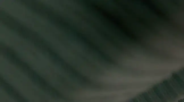 giselao online show from 15, 1, 2025